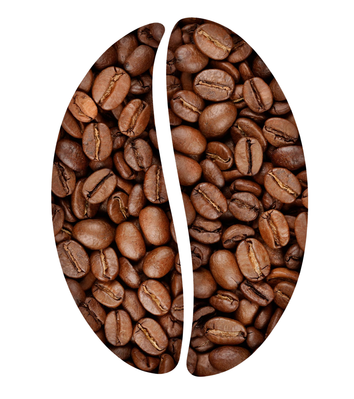 Image of coffee beans inside an svg shape of coffee bean