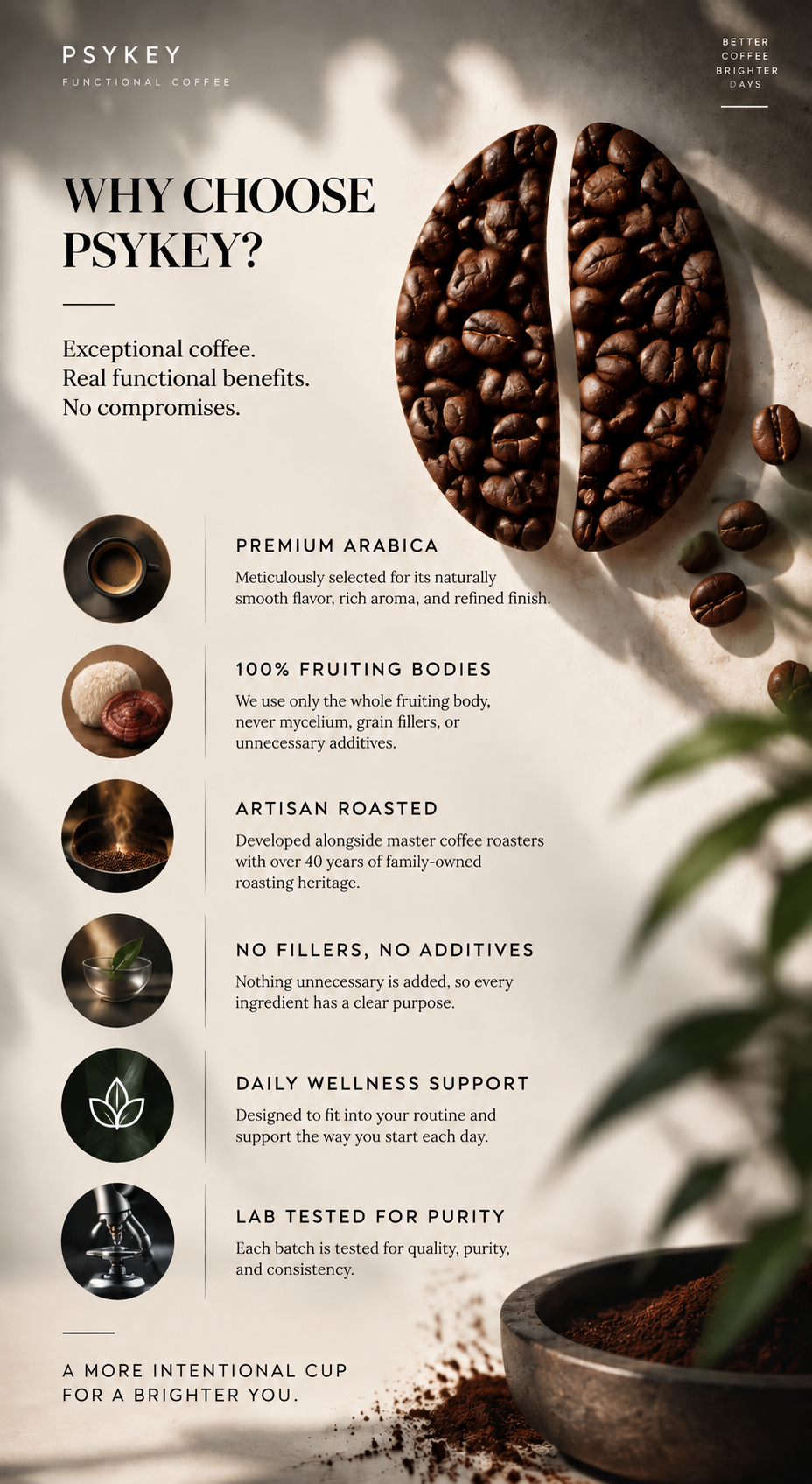 Infographic why choose us, premium arabica, 100% fruiting bodies, artisan roasted, lab tested for purity